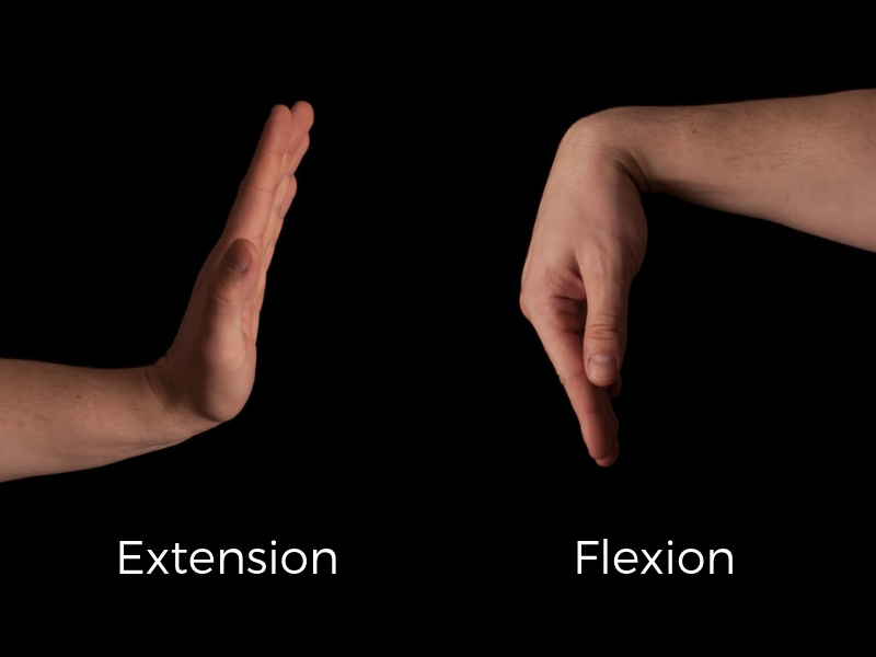 forearm-muscle-motion