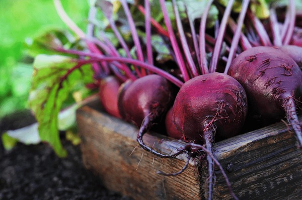 Fresh-Beetroot-High-Carb-Low-Fat