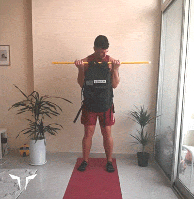 standing-bicep-curl-for-biceps-workout-at-home 