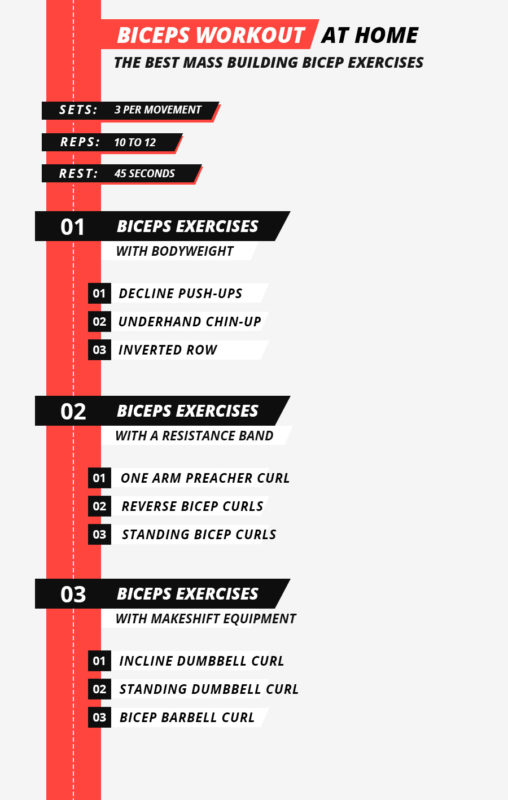 bicep-workout-at-home-exercises