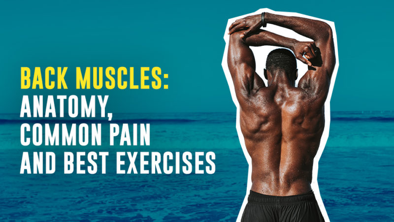 guide-to-back-muscles-and-exercises