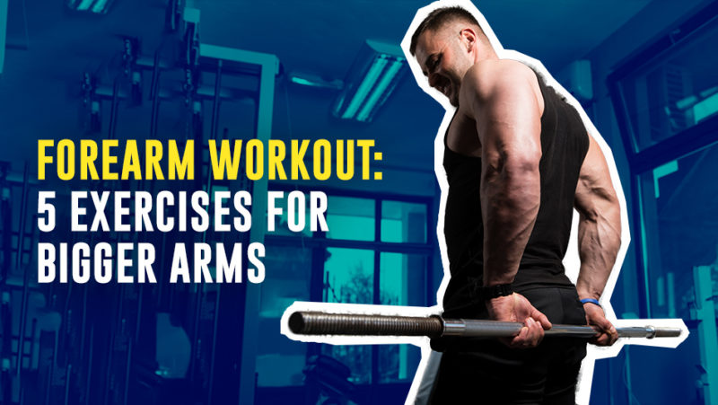 forearm-workouts