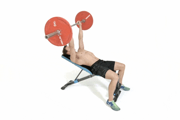 incline-dumbbell-bench-press