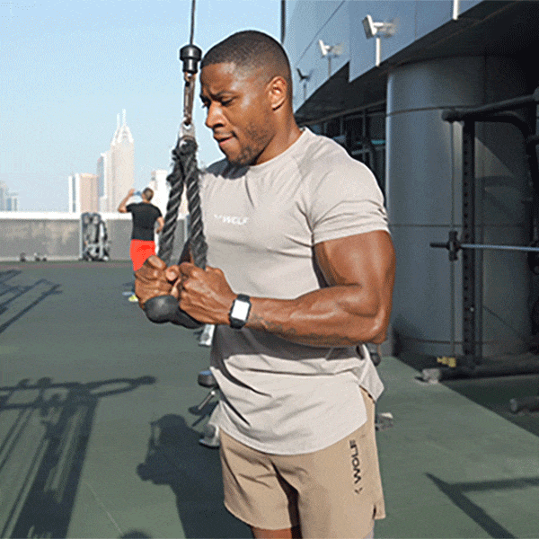 how-to-do-triceps-pushdown