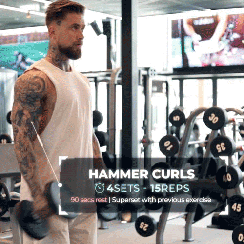 how-to-do-hammer-curls