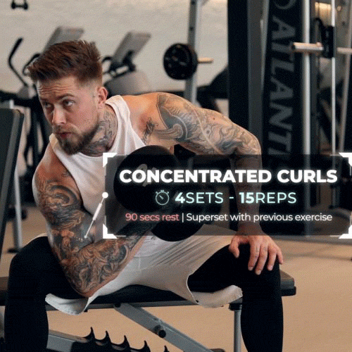 how-to-do-concentration-curls