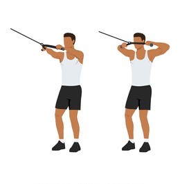 Cable-Face-Pulls-Shoulder-Workout-SQUATWOLF